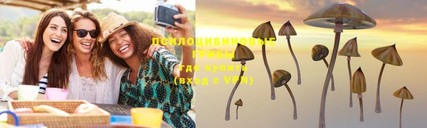скорость Пересвет