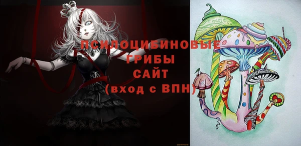 ешки Покачи