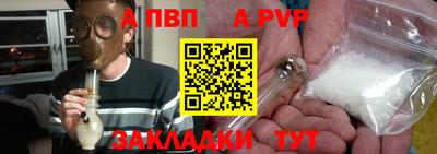 гидра Будённовск