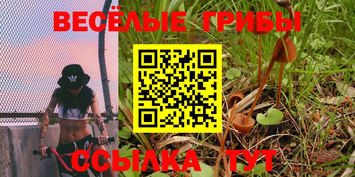 где найти наркотики  Губкинский  Галлюциногенные грибы Cubensis  Галлюциногенные грибы GOLDEN TEACHER 