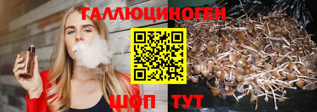 цены   Вход с VPN  Губкинский  Галлюциногенные грибы мухоморы 
