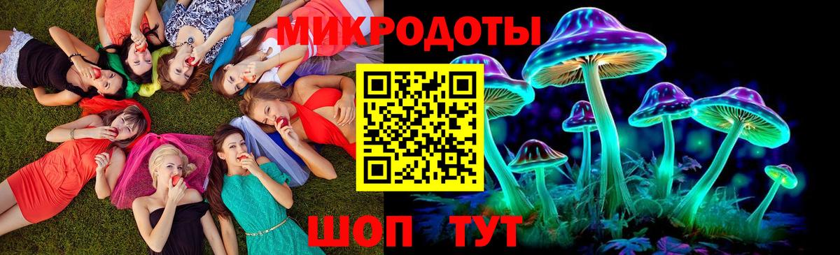 Галлюциногенные грибы MAGIC MUSHROOMS Губкинский