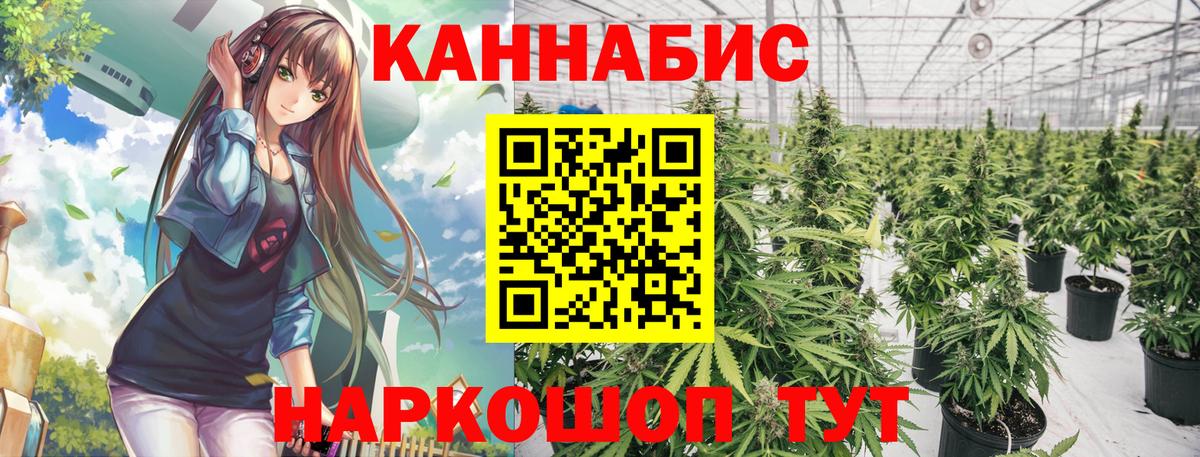 Конопля MAZAR Губкинский